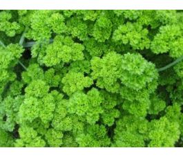 Peterselie - Moskrul 2  - BIO