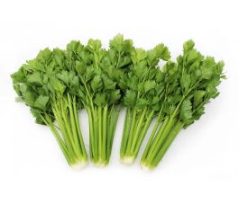 Machelse struikselderij - BIO