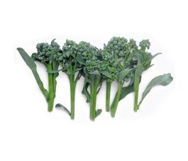 Broccolini &ndash; Aspergebroccoli &ndash; Piracicaba - BIO