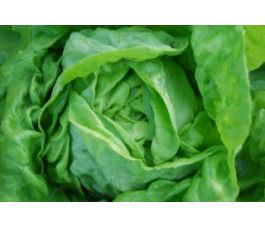 Kropsla - Briweri - BIODYNAMISCH