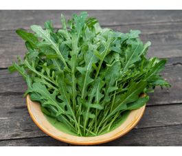 Wilde rucola - Lola - BIODYNAMISCH