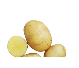 Pootaardappel - Oscar - maat 30/40 - BIO