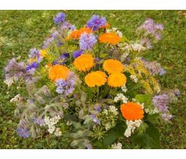 B568 - Bijenweide mengsel - 3 g tot 1 kg - BIODYNAMISCH B568 - Bijenweide mengsel - 3 g tot 1 kg - BIODYNAMISCH