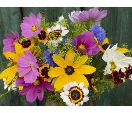 Zomerbloemenmengsel - Bauerngarten (Boerderijtuin/Erfbloemen) - 1 tot 100 g - BIODYNAMISCH Zomerbloemenmengsel - Bauerngarten (Boerderijtuin/Erfbloemen) - 1 tot 100 g - BIODYNAMISCH