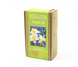 Ella's bollenkeuze - Witte narcissen en blauwe scilla's - 30 bollen - BIO
