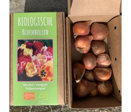 Monika's mengsel - Tulpenmengsel - 12 bollen - BIO