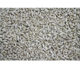 Gepelde zonnebloempitten 25kg - BIO Gepelde zonnebloempitten 25kg - BIO