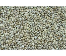 Hennepzaad 5 kg - BIO Hennepzaad 5 kg - BIO