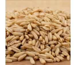 Naakte haver - kiemkrachtig - 1 kg - BIO Naakte haver - kiemkrachtig - 1 kg - BIO