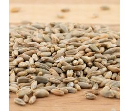 Rogge - kiemkrachtig - 1 kg - BIO