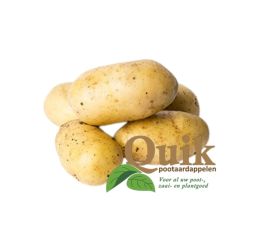 Pootaardappelen - Ditta - maat A 28/35 - 1kg - BIO Pootaardappelen - Ditta - maat A 28/35 - 1kg - BIO