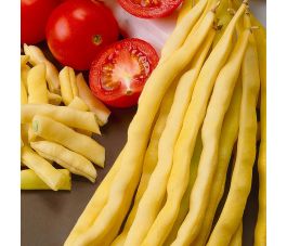 Staakboon / Stokslaboon - Neckargold - BIO