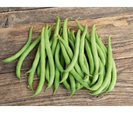 Struikboon - Maxi - BIO