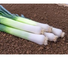 Zomerprei - Kulaures - BIODYNAMISCH