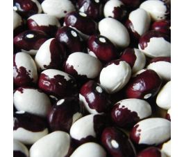 Stokdroogboon - Klosterfrauen/Du Couvant - BIO