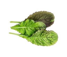 Bladmosterd - Osaka Purple - BIO