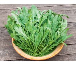 Wilde rucola - Diplotaxis tenuifolia - BIODYNAMISCH