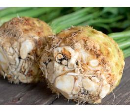 Knolselder - Porthos - BIODYNAMISCH - 50% korting - verminderde kiemkracht