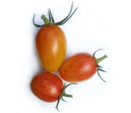Tomaat - Blush - BIO