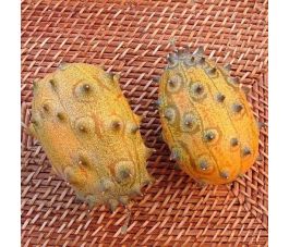 Stekelaugurk - Kiwano - BIO