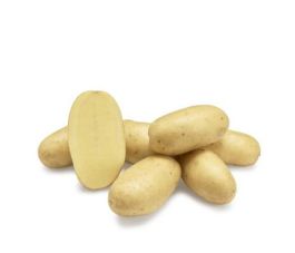 Pootaardappelen - Levante - maat A 30/40 - 1kg - BIO Pootaardappelen - Levante - maat A 30/40 - 1kg - BIO