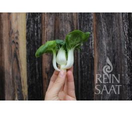 Pak Choi - Tiny Bok Choi - BIODYNAMISCH