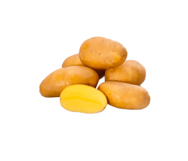 Pootaardappel - Glorietta - maat A 28/30 - 1kg - BIO Pootaardappel - Glorietta - maat A 28/30 - 1kg - BIO