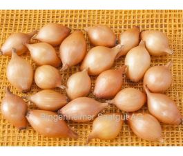 Plantui - Sturon - maat 10/22 - 500g - BIO Plantui - Sturon - maat 10/22 - 500g - BIO