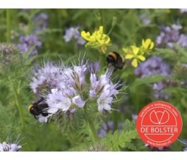 Bloemenmengsel - Tübinger - BIO