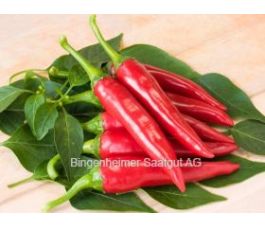 Spaanse Chili-peper - De Cayenne - BIODYNAMISCH
