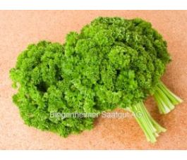 Peterselie - Mooskrause 2 - BIODYNAMISCH