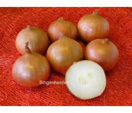 Ui - witgeel, Rijnsburg 5/Bajosta - BIODYNAMISCH