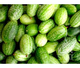 Minikomkommer - Melothria trilobata - BIODYNAMISCH