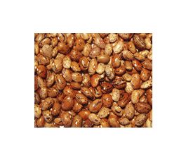 Droogboon - Borlotto lingua di fuoco 2 (Borlotti) - BIO