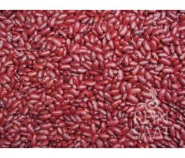 Droogboon - Canadian Wonder - BIODYNAMISCH