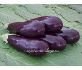Aubergine - Zora - BIODYNAMISCH