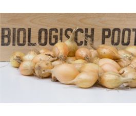 Plantui, Troy maat 10/22, 500g *bd Plantui, Troy maat 10/22, 500g *bd