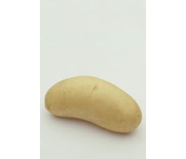 Pootaardappelen - Annabelle - maat A 28/30 -1kg - BIO Pootaardappelen - Annabelle - maat A 28/30 -1kg - BIO