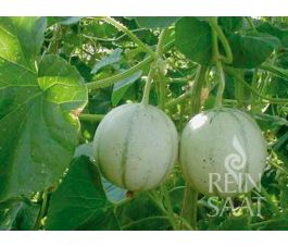 Meloen - Charentais - BIO