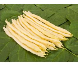 Staakboon/Stokslaboon - Neckargold - BIO