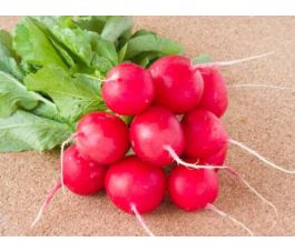 Radijs - Marike - BIODYNAMISCH - 50% korting wegens verminderde kiemkracht