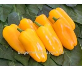 Paprika - Radja - BIO