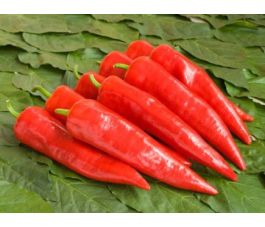 Paprika - Sweet Dreams - BIODYNAMISCH