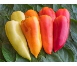 Paprika- Ferenc Tender - BIODYNAMISCH