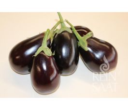 Aubergine - Nero - BIODYNAMISCH