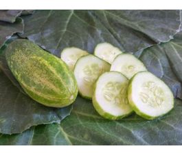 Augurk - Vorgebirgstrauben - BIODYNAMISCH