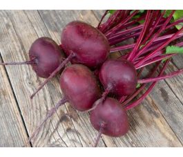Rode biet - Egyptische platronde - BIODYNAMISCH