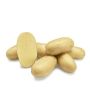 Pootaardappelen - Levante - maat A 30/40 - 1kg - BIO