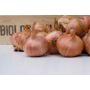 Plant-sjalot - Red Sun - maat 30/45 - 500g - BIO