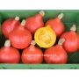Pompoen - Red Kuri (Hokkaido) - BIODYNAMISCH